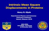 Intrinsic Mean Square Displacements in Proteins