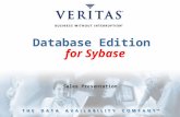 Database Edition  for Sybase