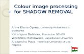 Colour image processing for  SHADOW REMOVAL