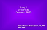 Fungi 3 Lecture 26 Summer, 2006