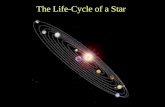 The Life-Cycle of a Star