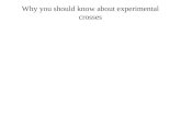 Why you should know about experimental crosses
