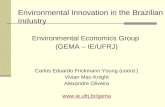 Environmental Innovation in the Brazilian Industry