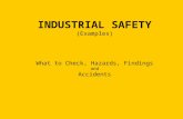 INDUSTRIAL SAFETY (Examples) What to Check, Hazards, Findings and Accidents
