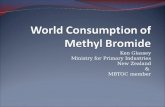 World Consumption of  Methyl Bromide