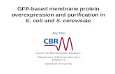 GFP-based membrane protein overexpression and purification in  E. coli  and  S. cerevisiae