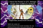 I Have the Power in QTL linkage:  single and multilocus analysis