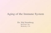 Aging of the Immune System