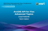 ArcGIS API for Flex Advanced Topics