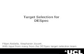 Target Selection for DESpec