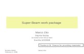 Super-Beam work package