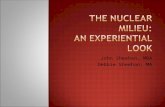 The Nuclear Milieu:   An Experiential Look