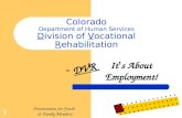 Colorado Department of Human Services D ivision of  V ocational  R ehabilitation