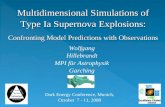 Multidimensional Simulations of Type  Ia  Supernova Explosions:
