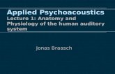 Applied Psychoacoustics Lecture 1: Anatomy and Physiology of the human auditory system