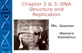 Chapter 2 & 3: DNA Structure and Replication