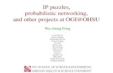 IP puzzles, probabilistic networking, and other projects at OGI@OHSU