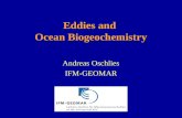 Eddies and  Ocean Biogeochemistry