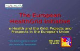 The European HealthGrid Initiative