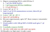 Digest remaining DNA with DNAse I 7 µl 10x RDD buffer 1 µl Superasin RNAse inhibitor