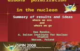 Gluons’ polarization  in the nucleon