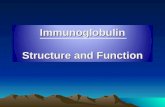 Immunoglobulin Structure and Function