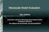 Mesoscale Model Evaluation