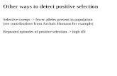 Other ways to detect positive selection Selective sweeps -> fewer alleles present in population