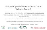 Linked Open Government Data: What’s Next?