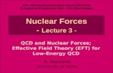 Nuclear Forces -  Lecture 3 -