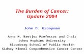 The Burden of Cancer: Update 2004