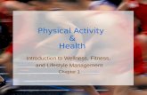 Physical Activity  & Health