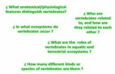 ¿ What anatomical/physiological features distinguish vertebrates?