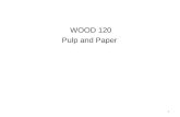 WOOD 120 Pulp and Paper