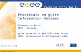 Practicals on gLite  Information Systems