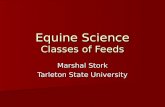 Equine Science Classes of Feeds