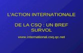 L'ACTION INTERNATIONALE DE LA CSQ : UN BREF SURVOL
