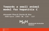 Towards a small animal model for hepatitis C Alexander Ploss & Charles M. Rice