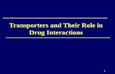 Transporters and Their Role in Drug Interactions