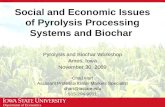 Social and Economic Issues of Pyrolysis Processing Systems and Biochar