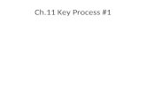 Ch.11 Key Process #1