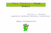“ Hot Topics ” from BaBar