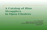 A Catalog of Blue Stragglers in Open Clusters