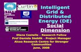 Intelligent Grid & Distributed Energy (DE) Social Dimension