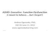 ADHD: Executive  Function Dysfunction (I meant to behave…..but I forgot!)