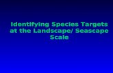 Identifying Species Targets at the Landscape/ Seascape Scale