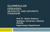 Glomerular Diseases : Nephrotic and Nephritic Syndrome