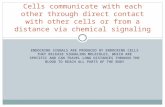 Endocrine Communication