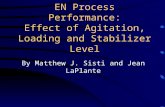 EN Process Performance: Effect of Agitation, Loading and Stabilizer Level