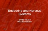 Endocrine and Nervous Systems Dr Atef Masad PhD Biomedicine